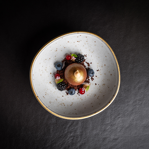 Gourmet cuisine at Alpen Tesitin