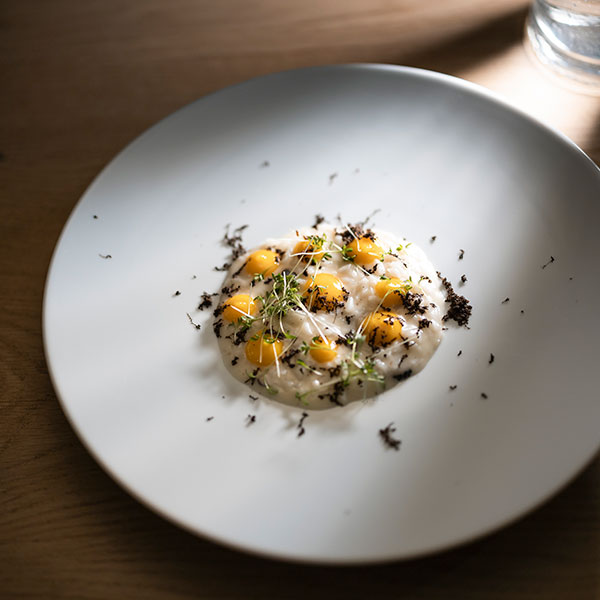 Un piatto della cucina gourmet