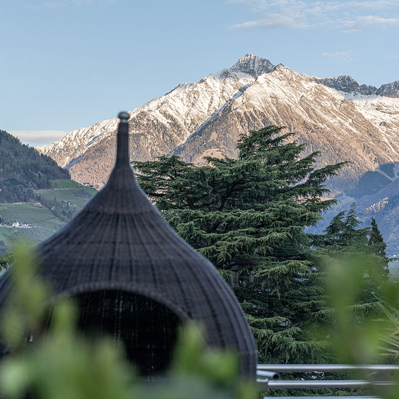 Experience Merano at its Finest