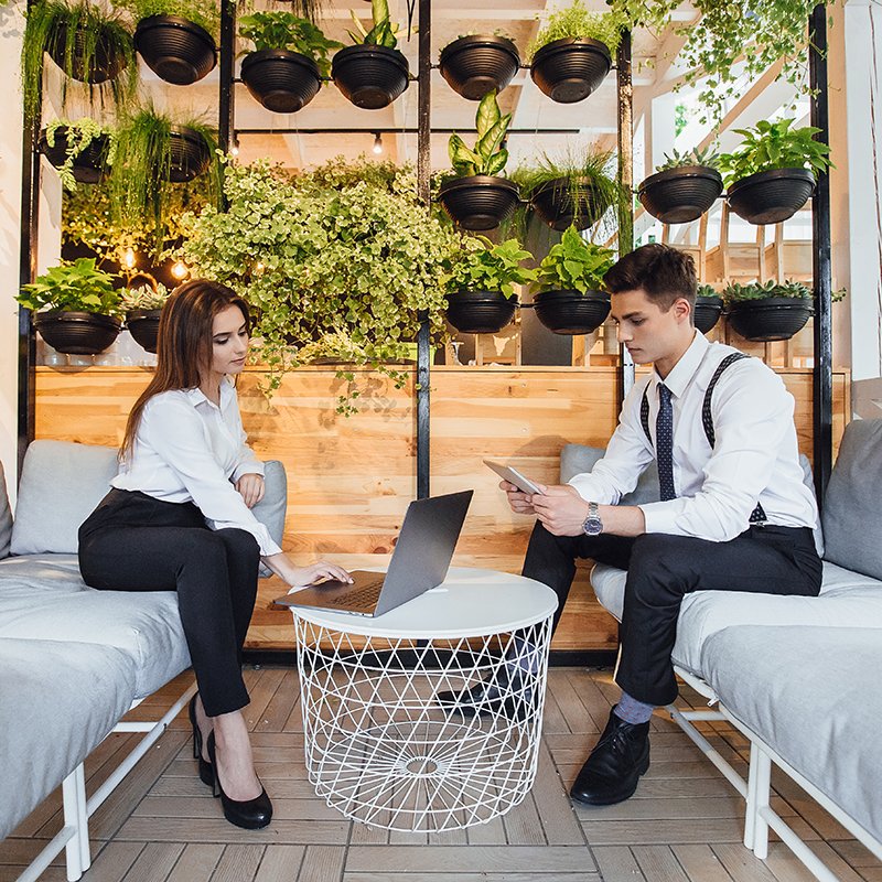 Business